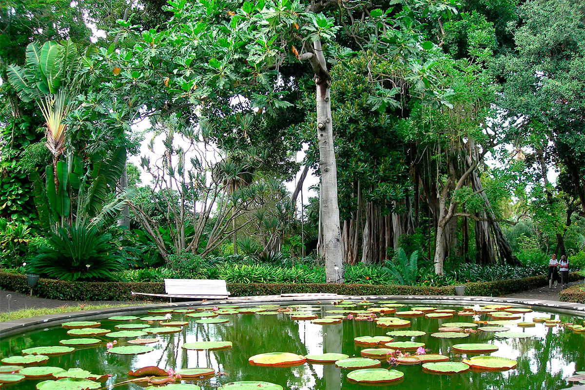 Ogród Botaniczny w Puerto de la Cruz