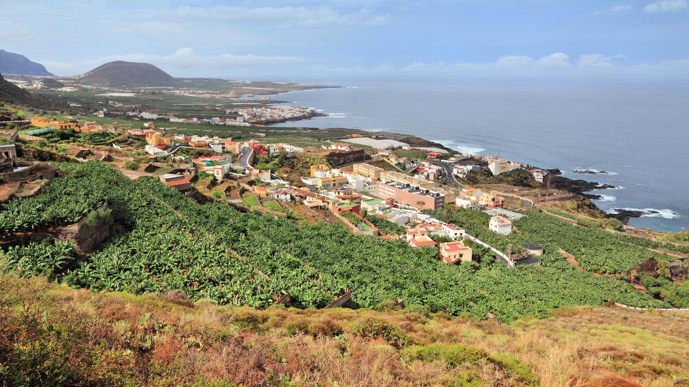 Buenavista del Norte