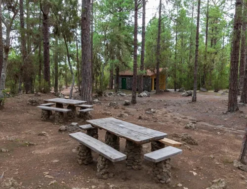 Kompletny przewodnik po kempingach na Teneryfie