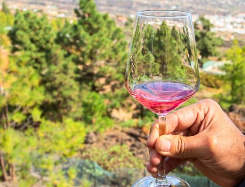 Wycieczki winiarskie na Teneryfie – odkryj najlepsze winnice